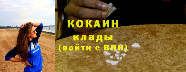 индика Вяземский