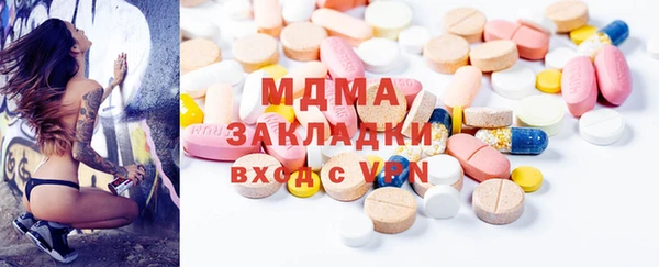 индика Вяземский