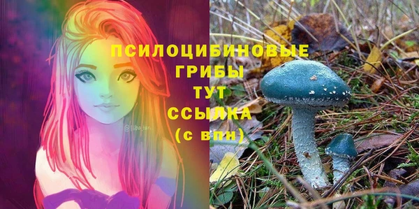 a pvp Вязники