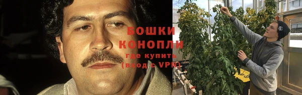 молекула духа Вязьма