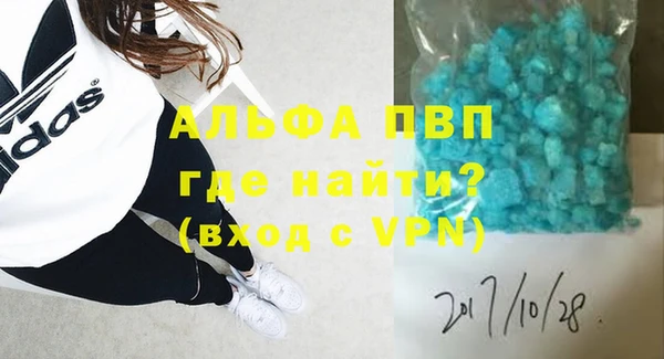 индика Вяземский