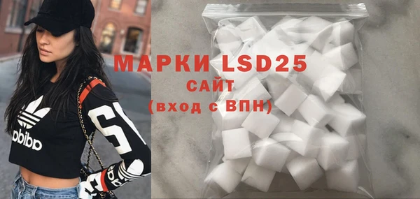 индика Вяземский