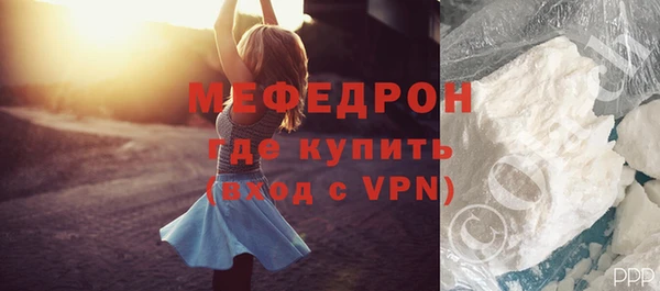 индика Вяземский