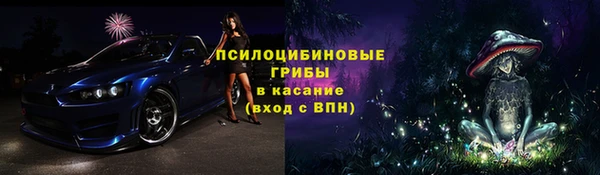 молекула духа Вязьма