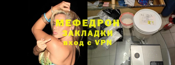 индика Вяземский