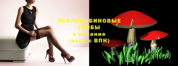 молекула духа Вязьма