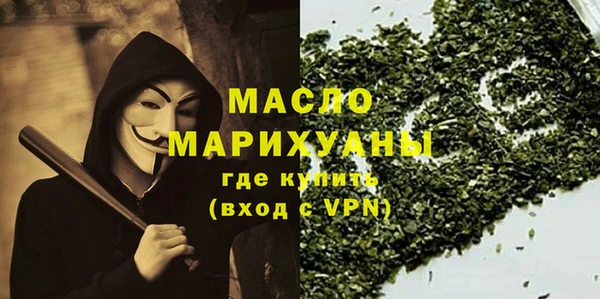 индика Вяземский