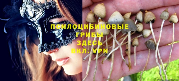 индика Вяземский