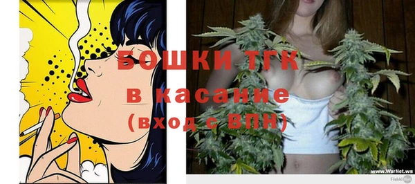тгк Снежинск