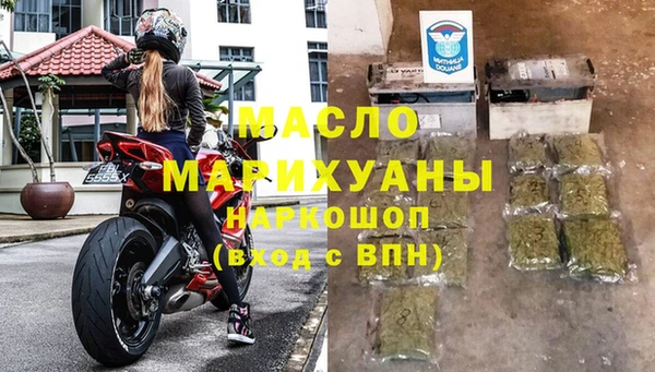 индика Вяземский