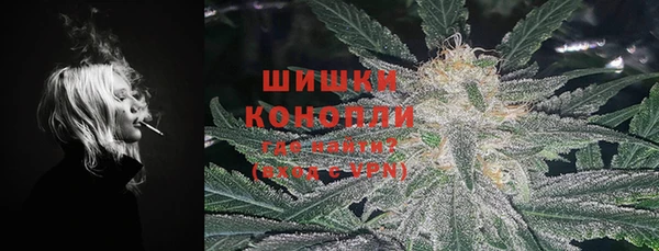 молекула духа Вязьма