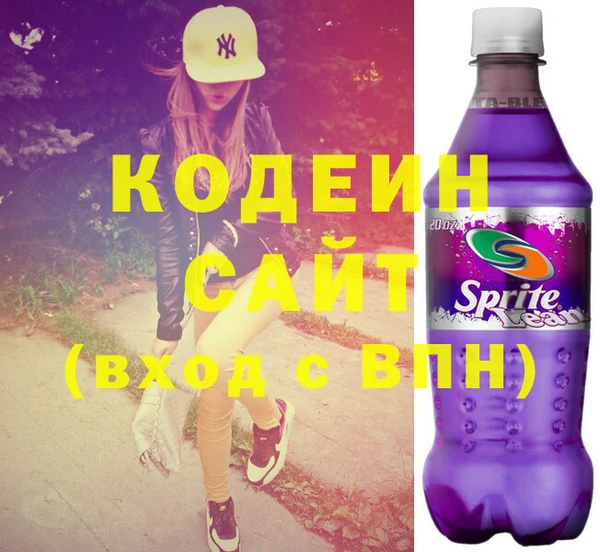 индика Вяземский