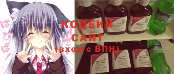 индика Вяземский