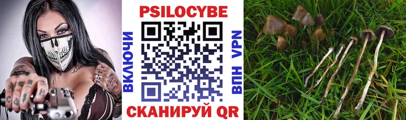 гидра tor  Мариинск  Псилоцибиновые грибы Cubensis 